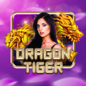 Dragon Tiger Okada live casino